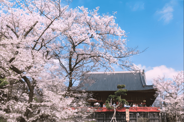 冰雪节.png