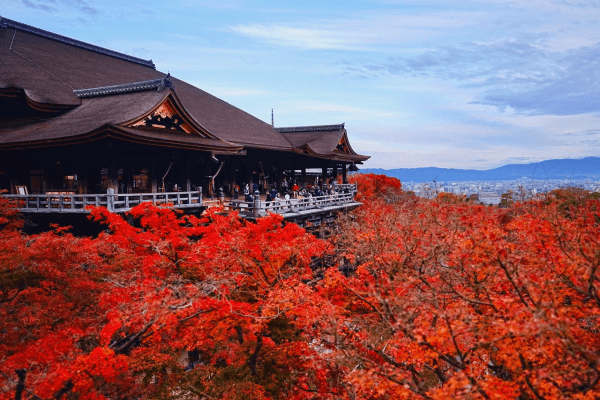 秋日祭.jpg