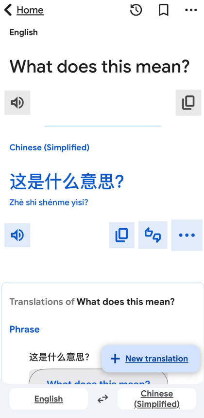 google translate 2.png