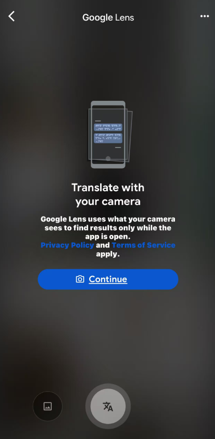 google translate 3.png